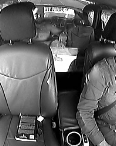 Suspect male sitting in the back of the taxi cab
